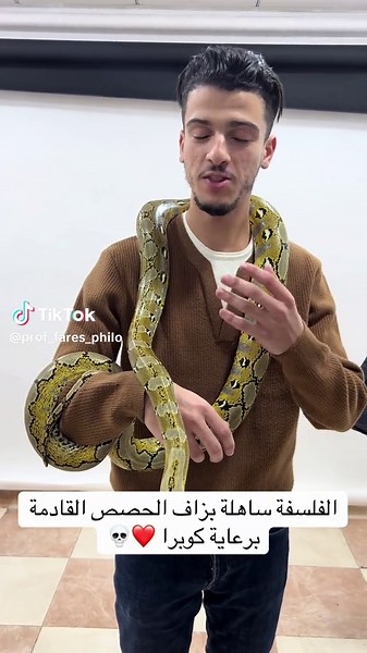 Vidéos de Prof_Fares_philo (@prof_fares_philo) avec son original - Prof_Fares_philo