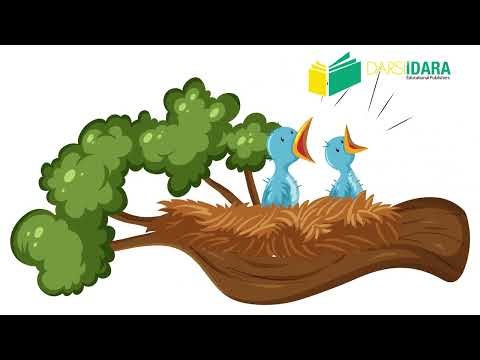 Introduction of Number Zero| Play Group Maths| Little Bees ‪@darsiidaraeducational‬