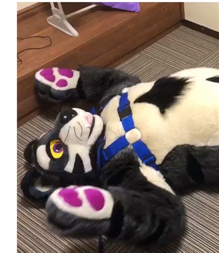 Cute Plushy: Trapped in a Fursuit