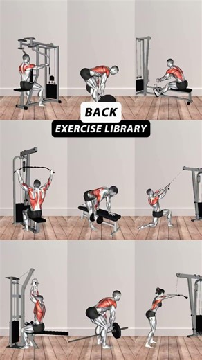 back exercises lidrary workout #backexercises #backworkout #backday