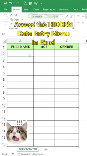 Access the HIDDEN Data Entry Menu in Excel (ALT+D+O) #excel #dataextractor #exceltips #dataanlysis