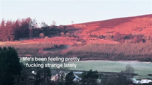 Navigating the Strangeness of Life