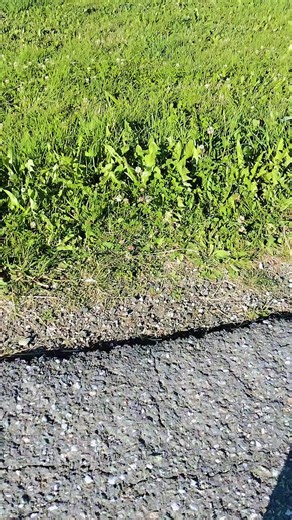 Nov 13 (@2high2crack)’s videos with original sound - Nov 13