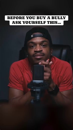 Before you buy a bully… 🐾 make sure you’re ready for more than just looks. Every decision affects your dog, the breed, and the community. Responsible ownership starts before the purchase. 💯 Comment below 👇🏾— what’s the most important thing you check before getting a bully? #thebullyview #americanbullies #dogowners #bullybreed #dogtalk | The Bully View