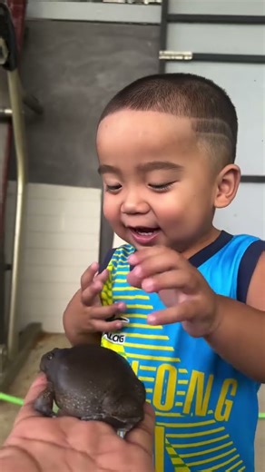 I'm afraid, but I want to catch him. 😂 #Daddy'sBelovedChild #VillageHouseless #HappyFamily #Comed...