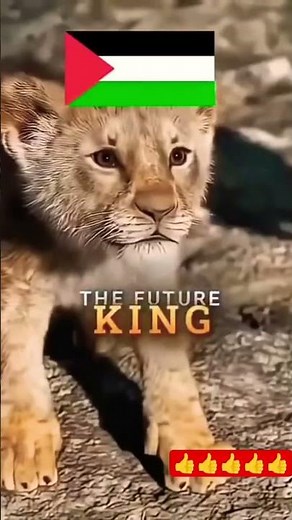 The Lion King Of Persia #indonesia #china #russia #spanyol #japan #irak #iran #malaysia #italy