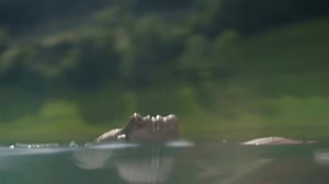 Prêts pour tout ce que la vie vous réserve: avec la CSS en tant que partenaire santé à vos côtés. | CSS partenaire santé