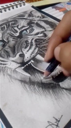 realistic tiger drawing 💪#trending #viralshort