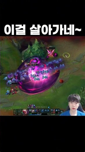 Belt Conqueror Evelynn really made the most of it.