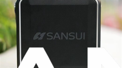 山水 D70 蓝牙音箱 广场舞户外便携 大功率 K 歌音响 双麦 支持电木吉他 / 民谣乐器 移动大音量 家用外出都合适