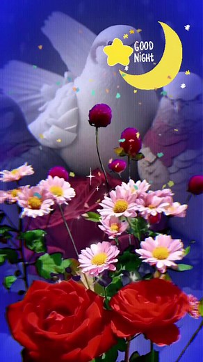 Good Night Animated Scenes with Moon and Stars