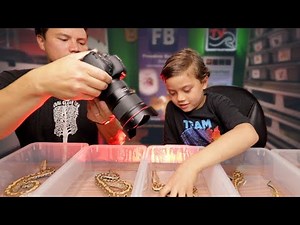 Picking his First Pet Snake