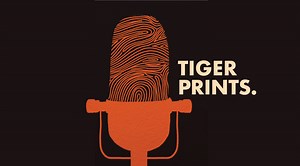 Community-Based Visa Plans Could Change Immigration Policy | Princeton School of Public and International Affairs