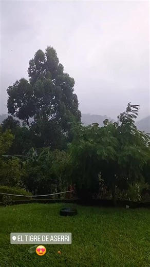 Avm Sublimacion on Reels