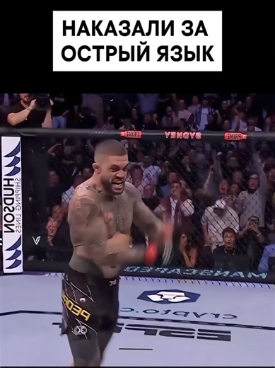 Knockout in MMA: A Language Barrier?