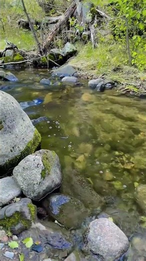 The Most Beautiful Waterfall River Route Scenery #Waterfall #river #BeautifulNature #PeacefulVibes