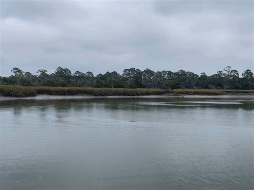 12K views · 135 reactions | POV: You’re on the ferry to Little St. Simons Island and you round the corner from the river into the creek. The Lodge is just a few minutes away and your Island adventure is just beginning! | The Lodge on Little St. Simons Island | Facebook
