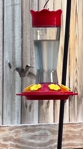 Kingsyard 2 Pack Glass Hummingbird Feeder for Outdoors Hanging - 6 Bee Guard Feeding Ports & Built-in Ant Moat, Wild Bird Feeder for Outside Garden Yard Patio 14 Oz, Red