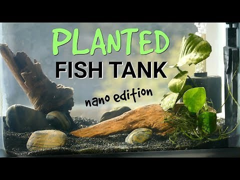 2.5 gallon Planted Fish Tank | How to set up a nano AQUARiUM