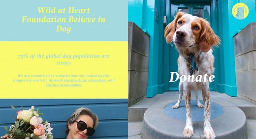 Narrative Power: Storytelling in Design