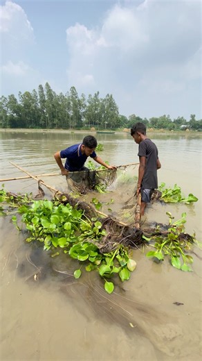 Unbelievable Fish Catch After Removing Water Plants | RMB Fishing | Facebook