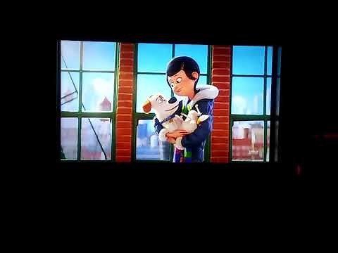 The Secret Life of Pets - FX Intro