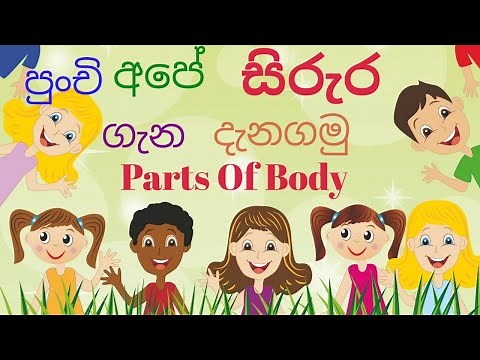 Parts of body for kids in Sinhala | ශරීරයේ කොටස් හදුනා ගනිමු