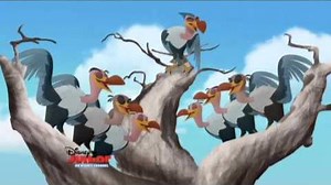 All Hail the Vultures