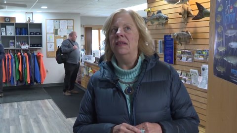 Prehistoric rock formations vandalized at High Cliff State Park