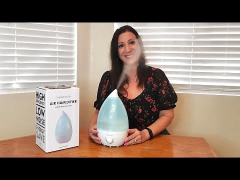 How To Use A Humidifier In A Room, Bedroom and for Plants