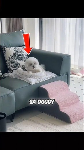 THE CUTEST MORNING ROUTINE EVER