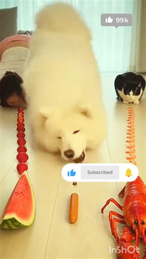 Ultimate Food Compilation 🍔🔥 | Satisfying & Viral #shorts #food #funny