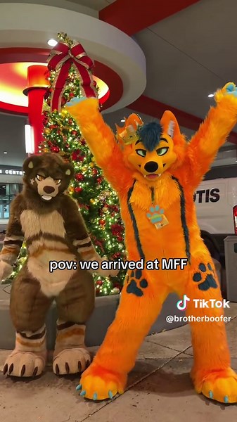 who else is here? @SumDingoFL #mff #furry #fursuit | fursuit