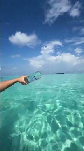 🌴 Mnemba Island, Zanzibar 🇹🇿Experience the crystal-clear waters, 🐬🐠🏝️# OceanLife #TravelZanzibar