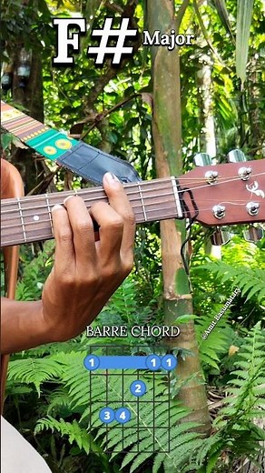 How To Play Guitar F# Major Barre Chords 🎸 #guitarlesson