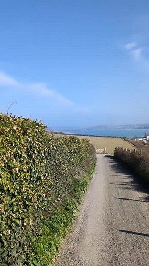 The sights and sounds of a peaceful Spring walk in Cornwall. Listen to the skylarks 🕊️😌 Can you guess where we were from these clips? 🌊 | Beautiful Cornwall