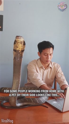 Bro must be learning Python 😅 | 5-Minute Crafts USA