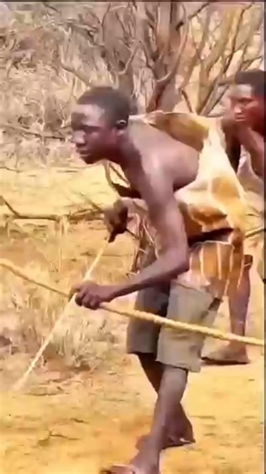 Thrilling scenes of deer hunting in a primitive way #africa #wildlife #hunting #shorts