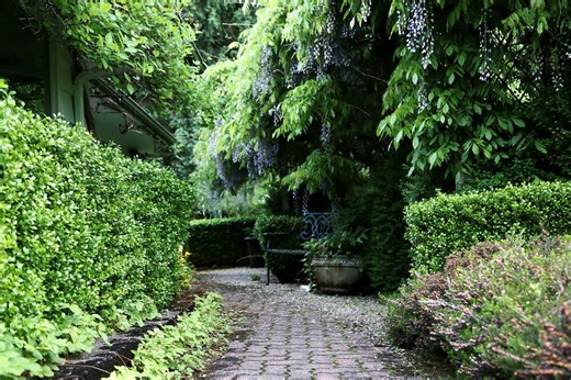 Garden to table: How studying permaculture changed my worldview