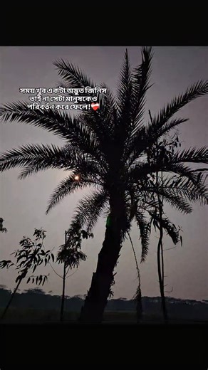 infinity.vibes_24 on Instagram: "সময় খুব একটা অদ্ভুত জিনিস তাই না সেটা মানুষকেও পরিবর্তন করে ফেলে!❤️‍🩹 #instagramreels #explore #feedfeed #trending"