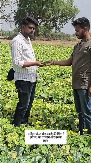 To tell about the benefits of vermicompost and its production, #organicfarming #vermicompost,