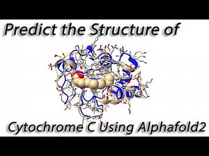 Using Alphafold2 with Chimera X to Predict the Structure of Cytochrome C
