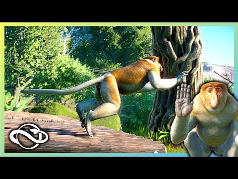 Planet Zoo | Building A Proboscis Monkey Habitat | Tuesto Zoo | 05