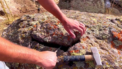 chicken's treasure/treasure hunting | Treasure Hunter