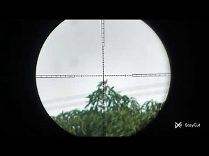 Bird hunting after ng bagyo humuli ng pang ulan