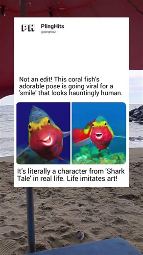 The "Shark Tale" Fish is Real!