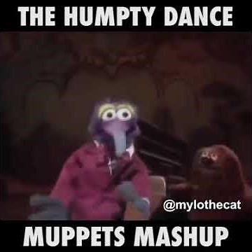 Humpty Dance Muppet Edition