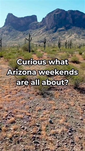 AZ Real Estate Agent | Casey Walag on Instagram: "One of the many reasons I love living in Arizona? The sunshine, community spirit, and fun family traditions — like Gilbert Days, happening THIS WEEKEND! Curious what Arizona weekends are all about? This is it. A full weekend of food, music, family fun, and hometown tradition- November 21–23! ✨ Gilbert Days Festival 📍 Gilbert Regional Park 📅 November 21–22 ⏰ 4–9 PM Live music, food + drinks, local vendors, and 10+ inflatables and games for the k