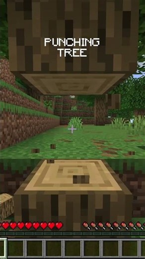 Minecraft LOGIC 💀💀💀#shorts