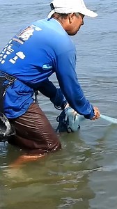 Pesca de grandes lisas con #tarraya en el lugar donde el río se junta con el mar. | NES QUIN